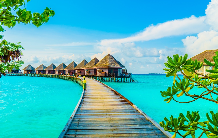Maldives cover image